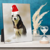 Siberische Husky Hond met Santa Hoed in Sneeuw Fotoplaat (Zijkant)