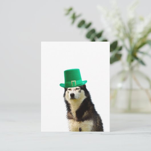 Siberische Husky Hond St. Patrick's dag Briefkaart (Staand voorkant)
