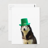 Siberische Husky Hond St. Patrick's dag Briefkaart (Voorkant / Achterkant)