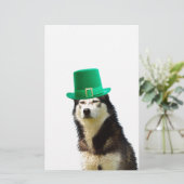 Siberische Husky Hond St. Patrick's dag Briefpapier (Staand voorkant)