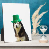 Siberische Husky Hond St. Patrick's dag Fotoplaat (Zijkant)