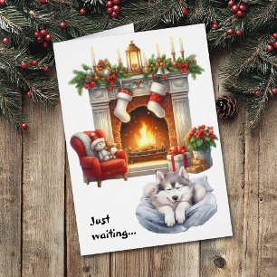 Siberische Husky-hond wacht op kerst
