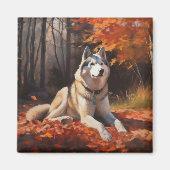 Siberische Husky in de herfst laat Herfst inspirer Magneet (Voorkant)
