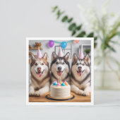 Siberische Husky kaart, Husky kaart, hond verjaard Kaart (Staand voorkant)