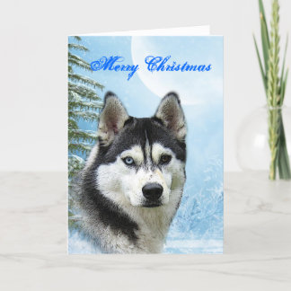 Siberische Husky Kerst Kaart