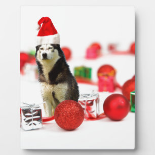 Siberische Husky Kerst met Ornament geschenkdoos Fotoplaat