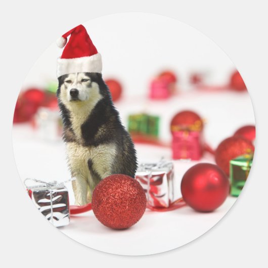 Siberische Husky Kerst met Ornament geschenkdoos Ronde Sticker (Voorkant)