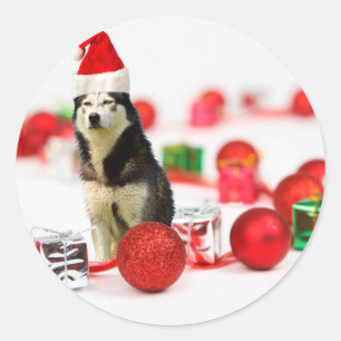 Siberische Husky Kerst met Ornament geschenkdoos Ronde Sticker