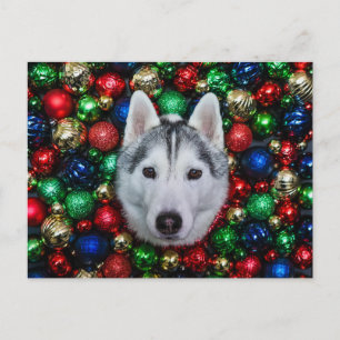 Siberische Husky Kerst Ornament Kaart