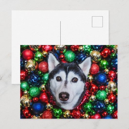 Siberische Husky Kerst Ornament Kaart (Voorkant / Achterkant)
