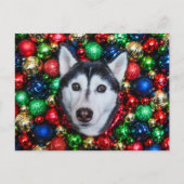 Siberische Husky Kerst Ornament Kaart (Voorkant)