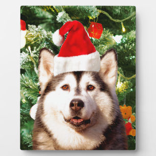 Siberische Husky Kerstboom Ornamenten Sneeuwman Fotoplaat