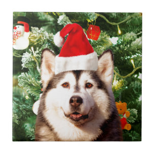 Siberische Husky Kerstboom Ornamenten Sneeuwman Tegeltje