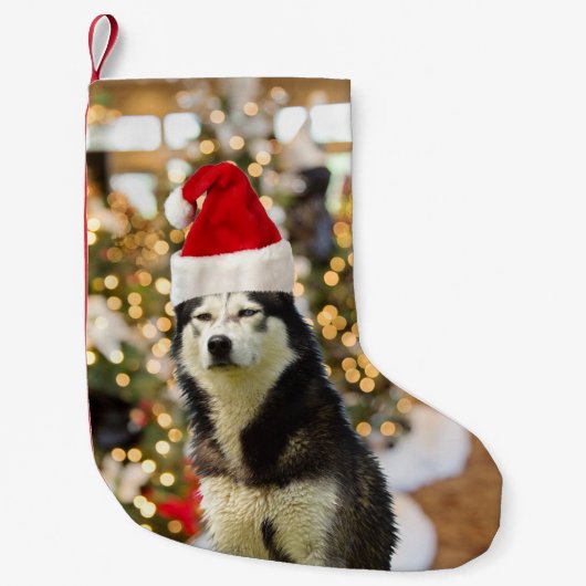Siberische Husky Kerstboom Pet Kleine Kerstsok (Voorkant)