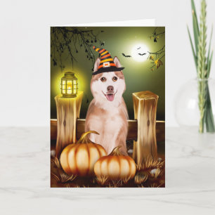 Siberische Husky met Heks Pet Halloween Kaart