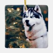 Siberische Husky met kerstbomen Keramisch Ornament (Voorkant)