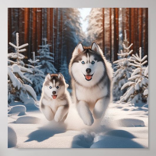 Siberische Husky moeder en haar puppy Poster (Voorkant)