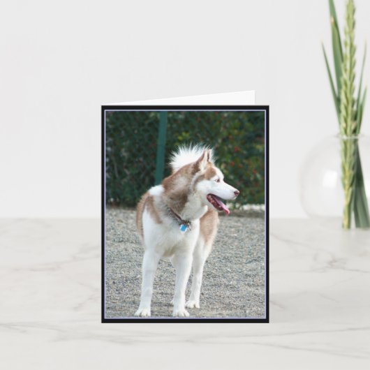 Siberische Husky Notecard Kaart (Voorkant)