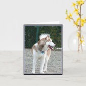 Siberische Husky Notecard Kaart (Gele Bloem)