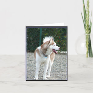 Siberische Husky Notecard Kaart