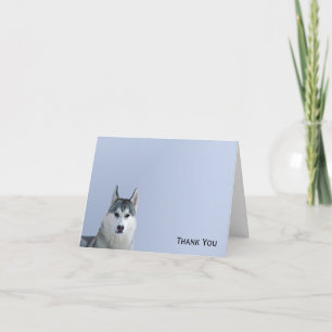 Siberische Husky op blauwe achtergrond Bedankkaart