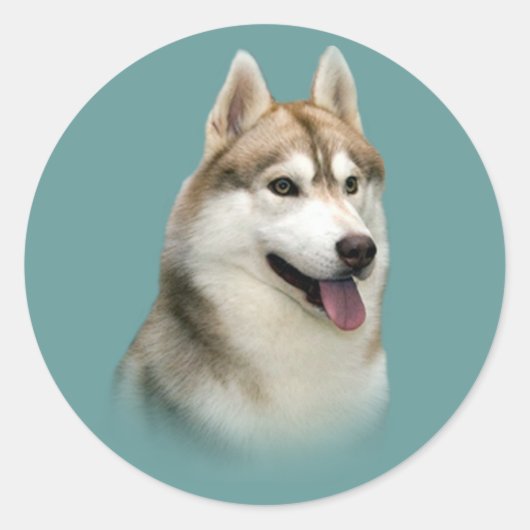 Siberische Husky Prachtige Sticker (Voorkant)