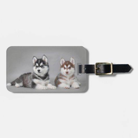 Siberische husky-puppies bagagelabel (Voorkant horizontaal)