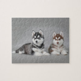 Siberische husky-puppies legpuzzel