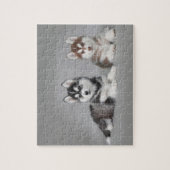 Siberische husky-puppies legpuzzel (Verticaal)