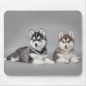 Siberische husky-puppies muismat (Voorkant)