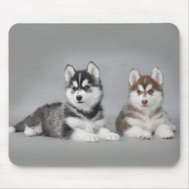 Siberische husky-puppies muismat