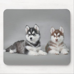 Siberische husky-puppies muismat