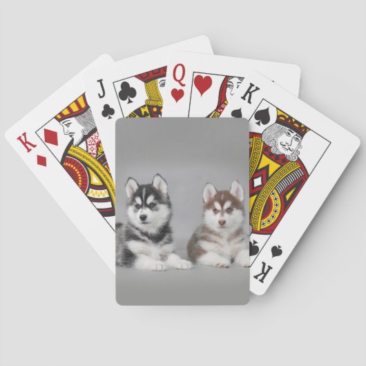 Siberische husky-puppies pokerkaarten (Achterkant)