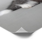 Siberische husky-puppies poster (Hoek)