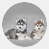 Siberische husky-puppies ronde sticker (Voorkant)