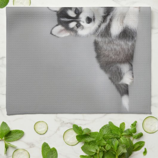 Siberische husky-puppies theedoek (Gevouwen)