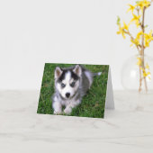 Siberische Husky Puppy Dog Blank Greeting Note Kaa Kaart (Gele Bloem)