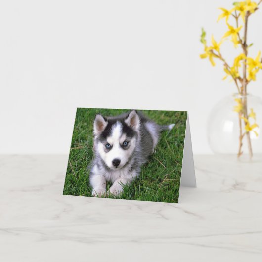 Siberische Husky Puppy Dog Blank Greeting Note Kaa Kaart (Gele Bloem)