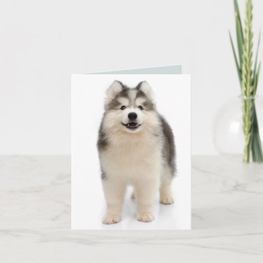 Siberische Husky Puppy Dog Blank Note Kaart (Voorkant)