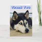 Siberische Husky Puppy Dog Dank u Wenskaart Bedankkaart (Voorkant)