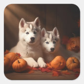 Siberische Husky Puppy Herfst Delight Pompoen Vierkante Sticker (Voorkant)