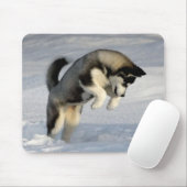 Siberische Husky puppy speelt in de sneeuw. Muismat (Met muis)