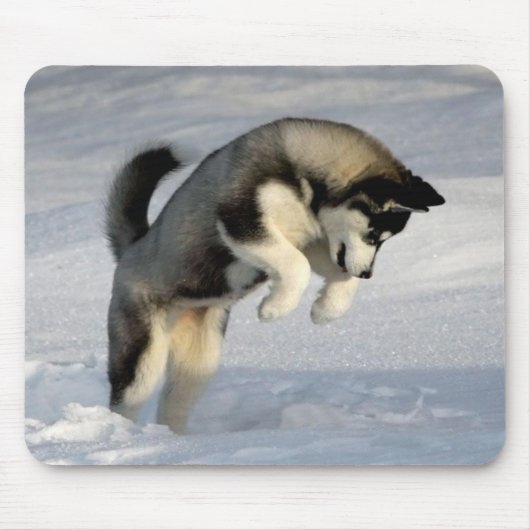 Siberische Husky puppy speelt in de sneeuw. Muismat (Voorkant)