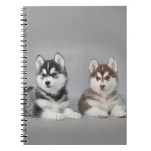 Siberische husky puppy's notitieboek