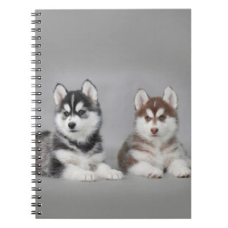 Siberische husky puppy's notitieboek