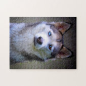 Siberische Husky Puzzels. Legpuzzel (Horizontaal)