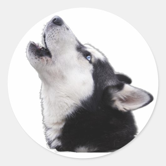 siberische husky ronde sticker (Voorkant)