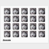 Siberische Husky Snow Vierkante Sticker (Vel)
