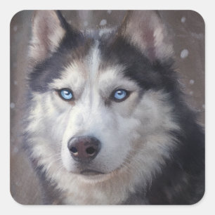 Siberische Husky Snow Vierkante Sticker