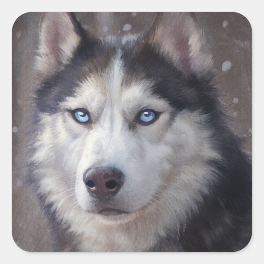 Siberische Husky Snow Vierkante Sticker (Voorkant)